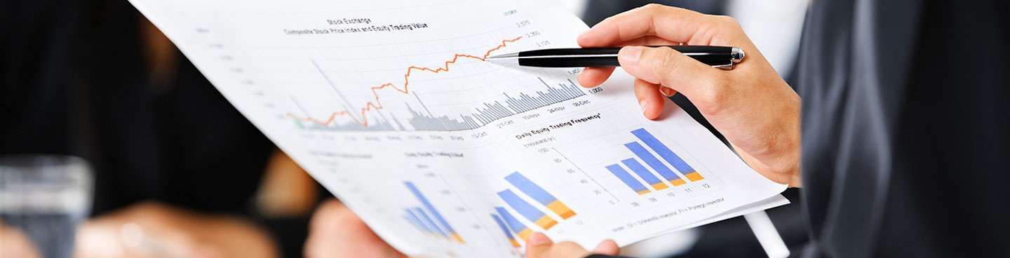 Annual Financial Statements